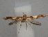  ( - CLV49858)  @11 [ ] CreativeCommons  Attribution Non-Commercial Share-Alike (2025) Carlos Lopez Vaamonde Institut National de la Recherche Agronomique, Zoologie Forestiere