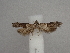  ( - CLV49869)  @11 [ ] CreativeCommons  Attribution Non-Commercial Share-Alike (2025) Carlos Lopez Vaamonde Institut National de la Recherche Agronomique, Zoologie Forestiere