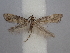  ( - CLV49881)  @11 [ ] CreativeCommons  Attribution Non-Commercial Share-Alike (2025) Carlos Lopez Vaamonde Institut National de la Recherche Agronomique, Zoologie Forestiere