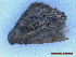  ( - CLV49925)  @11 [ ] CreativeCommons  Attribution Non-Commercial Share-Alike (2025) Carlos Lopez Vaamonde Institut National de la Recherche Agronomique, Zoologie Forestiere
