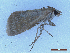  ( - CLV49977)  @11 [ ] CreativeCommons  Attribution Non-Commercial Share-Alike (2025) Carlos Lopez Vaamonde Institut National de la Recherche Agronomique, Zoologie Forestiere