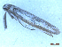  ( - CLV50090)  @11 [ ] CreativeCommons  Attribution Non-Commercial Share-Alike (2025) Carlos Lopez Vaamonde Institut National de la Recherche Agronomique, Zoologie Forestiere