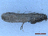  ( - CLV50104)  @11 [ ] CreativeCommons  Attribution Non-Commercial Share-Alike (2025) Carlos Lopez Vaamonde Institut National de la Recherche Agronomique, Zoologie Forestiere