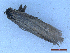  ( - CLV50105)  @11 [ ] CreativeCommons  Attribution Non-Commercial Share-Alike (2025) Carlos Lopez Vaamonde Institut National de la Recherche Agronomique, Zoologie Forestiere
