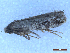  ( - CLV50112)  @11 [ ] CreativeCommons  Attribution Non-Commercial Share-Alike (2025) Carlos Lopez Vaamonde Institut National de la Recherche Agronomique, Zoologie Forestiere