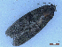  ( - CLV50152)  @11 [ ] CreativeCommons  Attribution Non-Commercial Share-Alike (2025) Carlos Lopez Vaamonde Institut National de la Recherche Agronomique, Zoologie Forestiere
