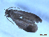  ( - CLV50238)  @11 [ ] CreativeCommons  Attribution Non-Commercial Share-Alike (2025) Carlos Lopez Vaamonde Institut National de la Recherche Agronomique, Zoologie Forestiere