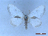  ( - CLV50306)  @11 [ ] CreativeCommons  Attribution Non-Commercial Share-Alike (2025) Carlos Lopez Vaamonde Institut National de la Recherche Agronomique, Zoologie Forestiere