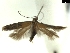 ( - CLV8117)  @11 [ ] CreativeCommons  Attribution Non-Commercial Share-Alike (2019) Carlos Lopez Vaamonde Institut National de la Recherche Agronomique, Zoologie Forestiere
