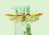  ( - CLV8194)  @11 [ ] CreativeCommons  Attribution Non-Commercial Share-Alike (2021) Carlos Lopez Vaamonde Institut National de la Recherche Agronomique, Zoologie Forestiere