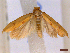  ( - FLA190)  @11 [ ] CreativeCommons  Attribution Non-Commercial Share-Alike (2022) Carlos Lopez Vaamonde Institut National de la Recherche Agronomique, Zoologie Forestiere