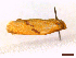  ( - FLA191)  @11 [ ] CreativeCommons  Attribution Non-Commercial Share-Alike (2022) Carlos Lopez Vaamonde Institut National de la Recherche Agronomique, Zoologie Forestiere
