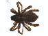  ( - ZA2011-1069)  @13 [ ] Copyright  G. Blagoev 2011 Unspecified