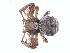  ( - ZA2011-1087)  @12 [ ] Copyright  G. Blagoev 2011 Unspecified