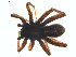  ( - ZA2011-1098)  @13 [ ] Copyright  G. Blagoev 2011 Unspecified