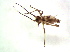  ( - ZA2011-30332)  @11 [ ] Copyright (2013) Tomas Roslin University of Helsinki