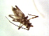  ( - ZA2011-30333)  @11 [ ] Copyright (2013) Tomas Roslin University of Helsinki