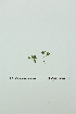  ( - ZA2012-4761)  @11 [ ] Copyright (2013) Tomas Roslin University of Helsinki