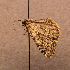  ( - za2011-062)  @12 [ ] No Rights Reserved (2011) Riikka Kaartinen University of Helsinki