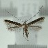  ( - AK0190)  @14 [ ] Copyright (2011) Atsushi Kawakita Unspecified