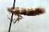  ( - NK1962)  @11 [ ] Copyright (2023) Natalia Kirichenko Sukachev Institute of Forest SB RAS