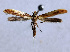  ( - NK2013)  @11 [ ] Copyright (2023) Natalia Kirichenko Sukachev Institute of Forest SB RAS