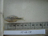  ( - AUTH09-261)  @11 [ ] Unspecified (default): All Rights Reserved  Unspecified Unspecified