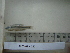  (Pachychilon - AUTH09-267)  @13 [ ] Unspecified (default): All Rights Reserved  Unspecified Unspecified