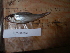  ( - AUTH10-282)  @13 [ ] Unspecified (default): All Rights Reserved  Unspecified Unspecified