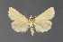  ( - DLW-001505)  @11 [ ] No Rights Reserved (2018) David L. Wikle Research Collection of David Wikle
