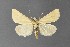  ( - DLW-001506)  @11 [ ] No Rights Reserved (2018) David L. Wikle Research Collection of David Wikle