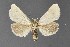  ( - DLW-001510)  @11 [ ] No Rights Reserved (2018) David L. Wikle Research Collection of David Wikle