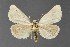  ( - DLW-001511)  @11 [ ] No Rights Reserved (2018) David L. Wikle Research Collection of David Wikle