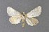  ( - DLW-001517)  @11 [ ] No Rights Reserved (2018) David L. Wikle Research Collection of David Wikle