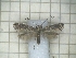  ( - CLV2544)  @12 [ ] Copyright (2011) Ian Simms Unspecified