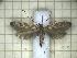  ( - CLV2548)  @12 [ ] Copyright (2011) Ian Simms Unspecified