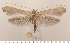  ( - CLV2666)  @14 [ ] Copyright (2011) David C. Lees Research Collection of David C. Lees