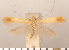  ( - CLV2700)  @11 [ ] Copyright (2011) David C. Lees Research Collection of David C. Lees