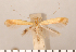  ( - CLV2701)  @11 [ ] Copyright (2011) David C. Lees Research Collection of David C. Lees