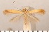  ( - CLV2702)  @11 [ ] Copyright (2011) David C. Lees Research Collection of David C. Lees