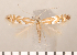  ( - CLV2738)  @14 [ ] Copyright (2011) David C. Lees Research Collection of David C. Lees
