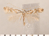  ( - CLV2740)  @14 [ ] Copyright (2011) David C. Lees Research Collection of David C. Lees