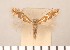  ( - CLV2757)  @11 [ ] Copyright (2011) David C. Lees Unspecified