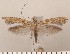  ( - CLV2923)  @14 [ ] Copyright (2011) David C. Lees Unspecified