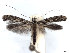  ( - DP09017)  @14 [ ] Copyright (2010) Unspecified Research Collection of W. and J. De Prins