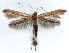  ( - DP09018)  @12 [ ] Copyright (2010) Unspecified Research Collection of W. and J. De Prins