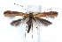  ( - DP09023)  @12 [ ] Copyright (2010) Unspecified Research Collection of W. and J. De Prins
