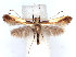  ( - DP09024)  @11 [ ] Copyright (2010) Unspecified Research Collection of W. and J. De Prins