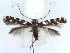  ( - DP09032)  @11 [ ] Copyright (2010) Unspecified Research Collection of W. and J. De Prins