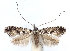  ( - DP09035)  @11 [ ] Copyright (2010) Unspecified Research Collection of W. and J. De Prins